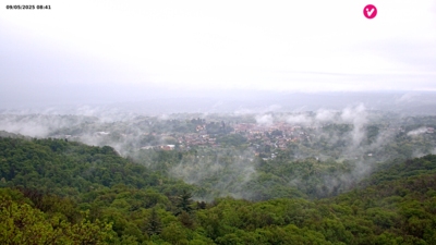 Invorio
