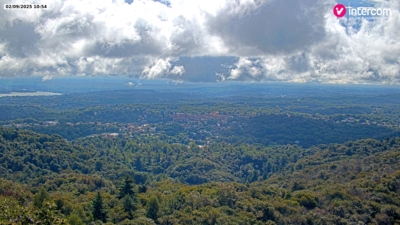 Invorio