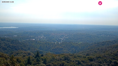 Invorio