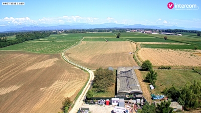 Suno